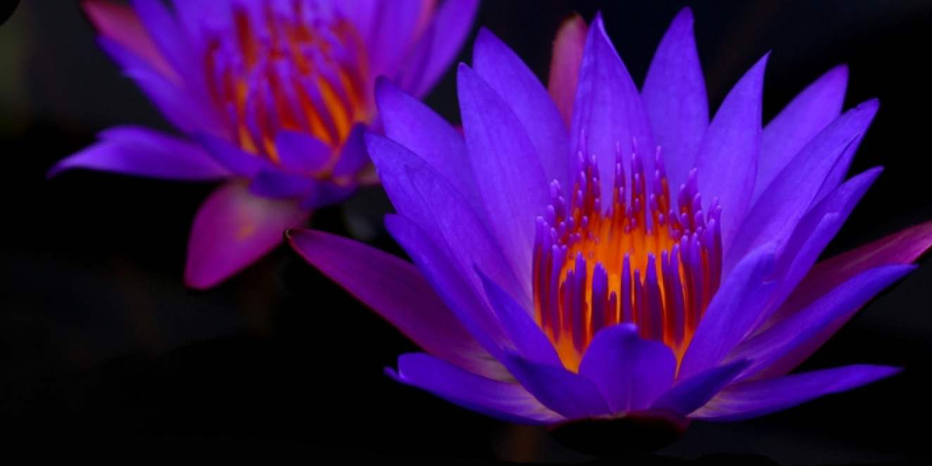 LE SOLEIL BEAUTY CENTERS S.R.L.