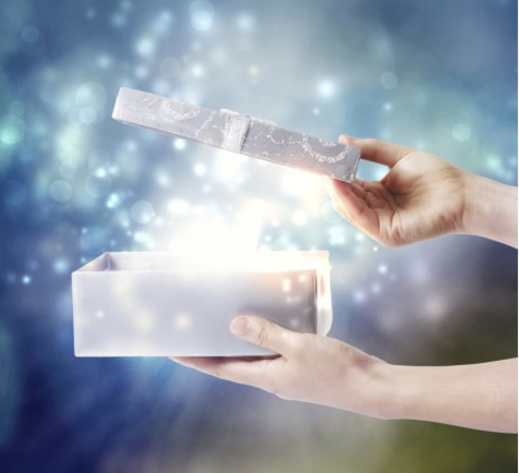 LE SOLEIL BEAUTY CENTERS S.R.L.