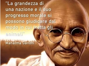 LE SOLEIL BEAUTY CENTERS S.R.L.