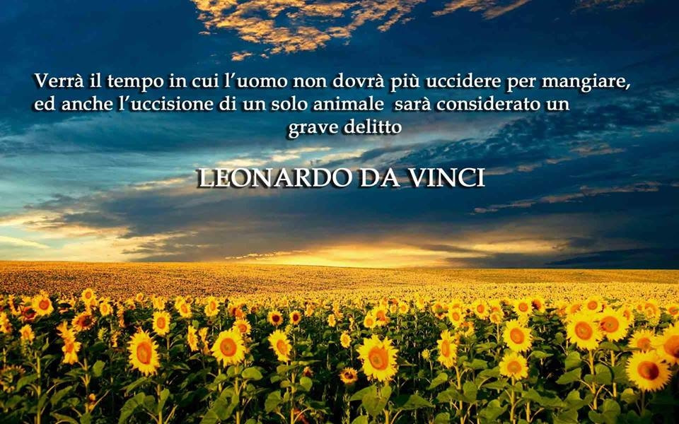 LE SOLEIL BEAUTY CENTERS S.R.L.