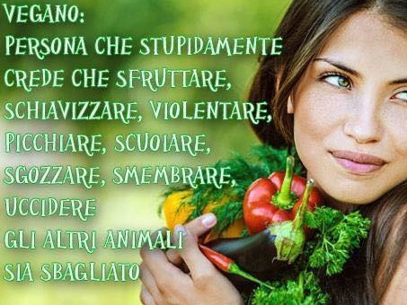 LE SOLEIL BEAUTY CENTERS S.R.L.