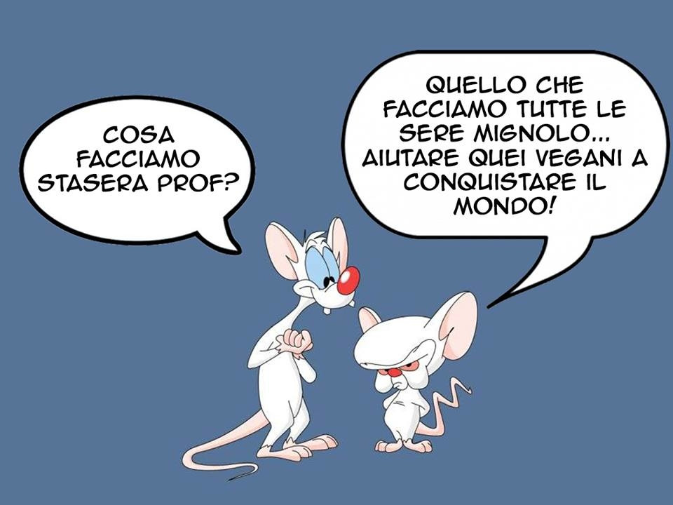 LE SOLEIL BEAUTY CENTERS S.R.L.