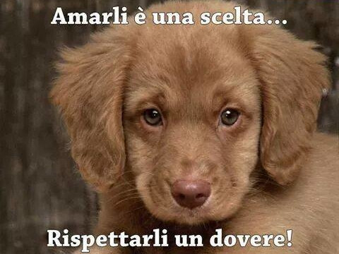 LE SOLEIL BEAUTY CENTERS S.R.L.