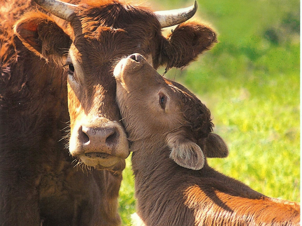 LE SOLEIL BEAUTY CENTERS S.R.L.