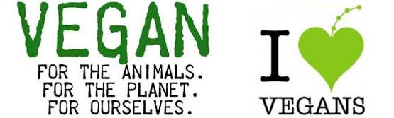 LE SOLEIL BEAUTY CENTERS S.R.L.