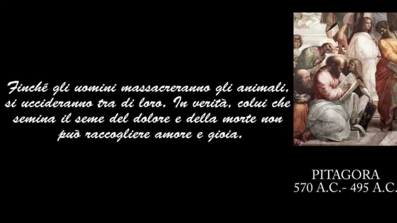 LE SOLEIL BEAUTY CENTERS S.R.L.