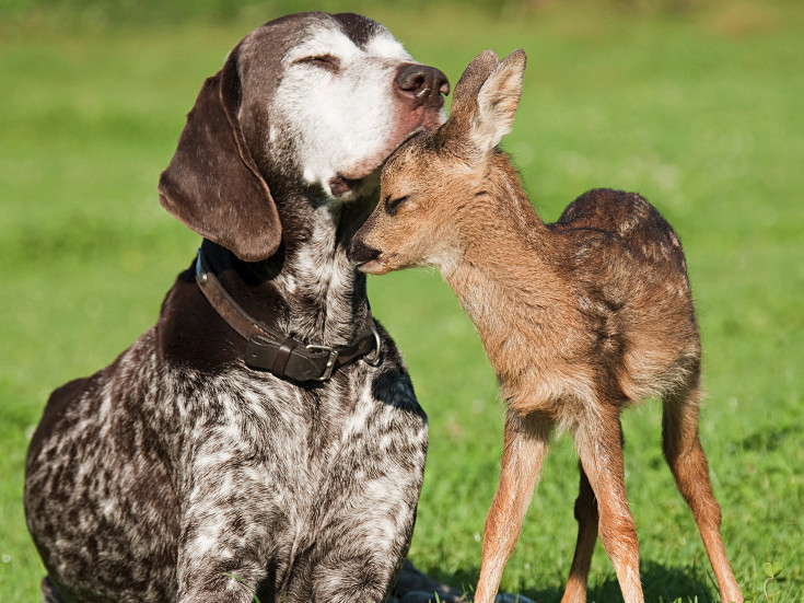 LE SOLEIL BEAUTY CENTERS S.R.L.