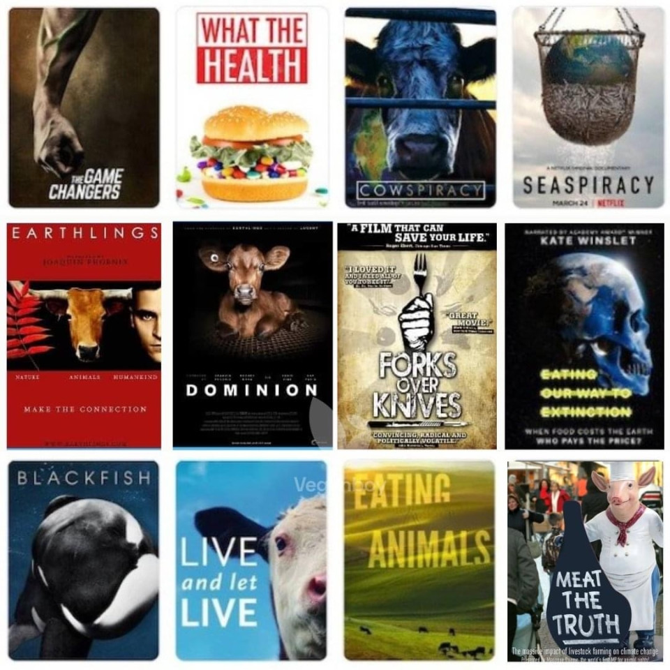 LE SOLEIL BEAUTY CENTERS S.R.L.