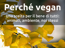 VEGANI PERCHè'?