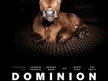 DOMINION