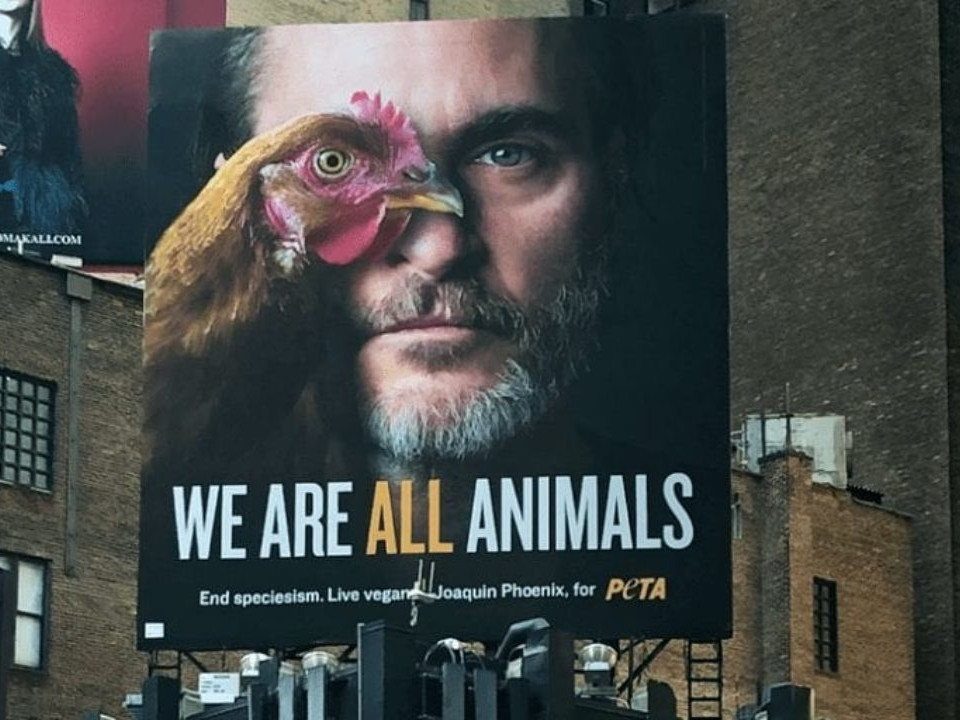 Joaquin Phoenix e la Peta: il video sui cani uccisi per produrre cuoio